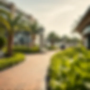 Recreational Oasis at Salt Khawaneej Walk An inviting recreational space filled with greenery and leisure activities