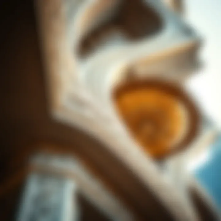 Architectural close-up showcasing intricate design elements of The Regal Tower