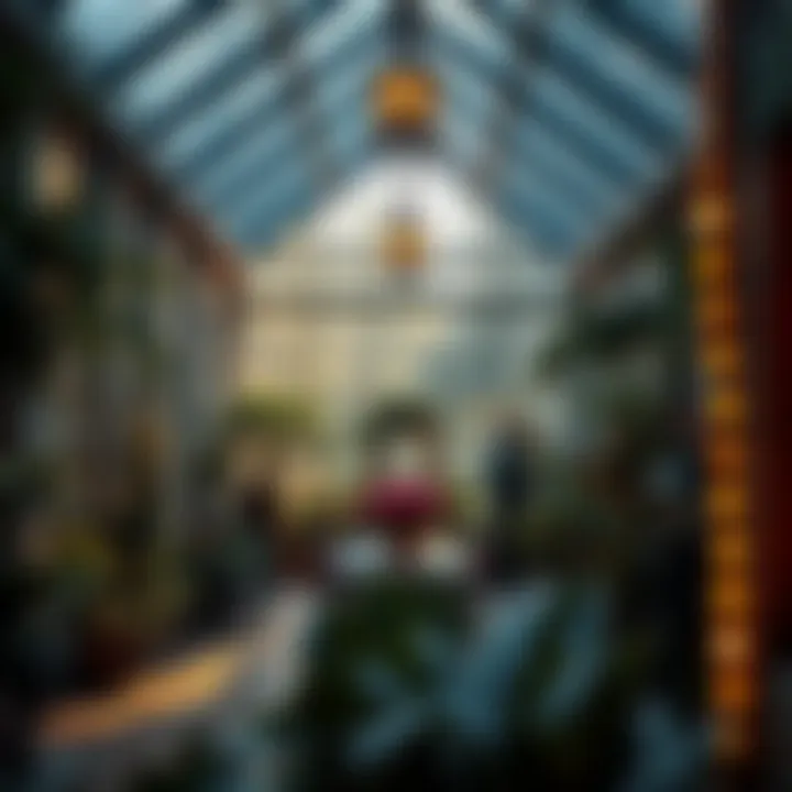 Illuminated Interior Spaces of a Glasshouse Interior view showcasing natural light in a glasshouse
