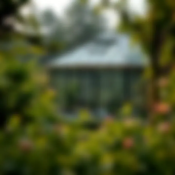 Eco-Friendly Glasshouse Surrounded by Nature Sustainable glasshouse with surrounding greenery