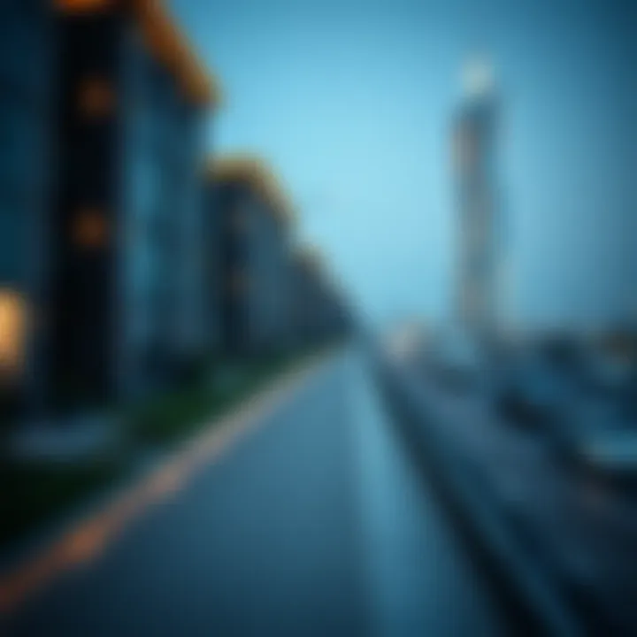 Visual overview of navigating visa cancellations in Dubai