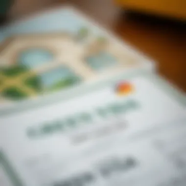 ICP Green Visa Document A close-up view of the Green Visa document