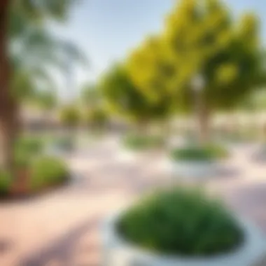 A lush park in SEEF Dubai illustrating the lifestyle amenities available to residents