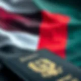 Visual representation of the UAE flag with a passport